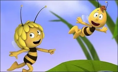 Voici Maya, l'abeille. Eh bien, en plus de sa couleur, ce n'est pas une abeille normale : elle prsente une malformation, laquelle ?