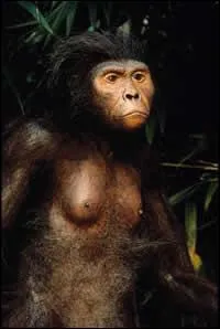 O a-t-on dcouvert les fossiles des australopithques Lucy et Selam ?