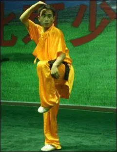 Qu'est-ce que l' Hou quan ?