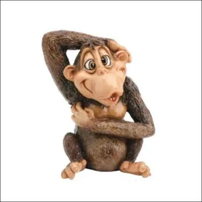 Que veut dire singer en cuisine ?