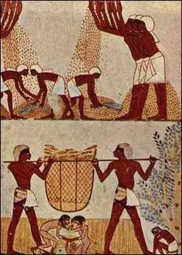 Strabon dira d'Alexandrie qu'elle est  le comptoir du monde . Quels sont les produits qui se vendent et s'exportent le plus ?