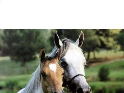  pied, si vous voulez changer de cot, vous ...