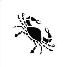 N le 15 juillet, quel est son signe astrologique ?