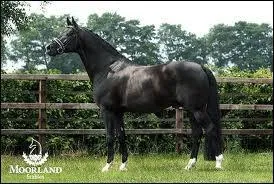 A combien a t vendu Totilas ?