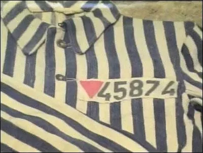 En quelle anne l'homosexualit est-elle retire de la liste des maladies mentales de l'OMS (Organisation Mondiale de la Sant) ?