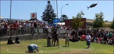 Venez participer  l'attraction principale du festival de Tunarama : le lancer de thon !