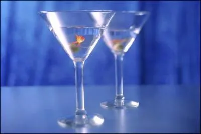 Etes-vous capable d'avaler une gorge d'alcool, sachant qu'elle contient un petit poisson vivant, si oui, vous tes digne de la fte des Krakelingen ...