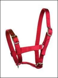 En quelle matire est le licol ?