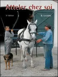 Le mot commence par : Rou ...