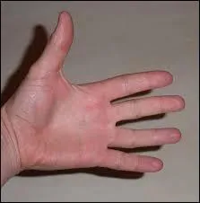 Le mot commence par : Rou ...