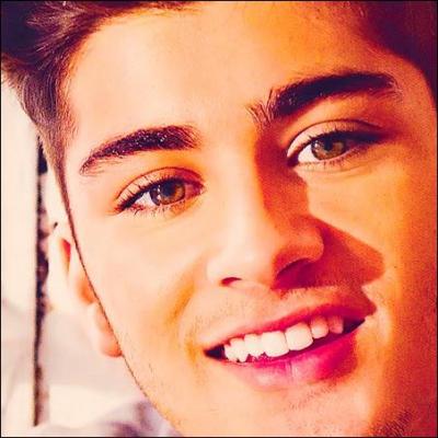 Quelle est la date de naissance de Zayn ?