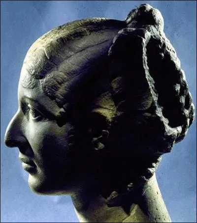 Qui a dit :  Le nez de Cloptre, s'il et t plus court, toute la face de la Terre aurait chang.   ?