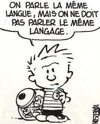 Quiz Vocabulaire