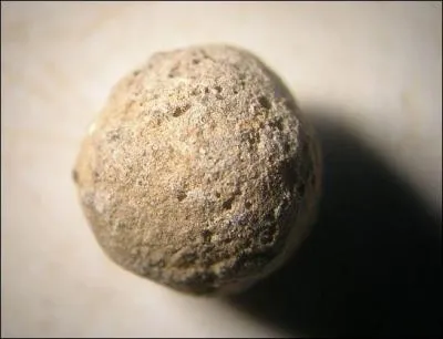 Comment s'appelle cette roche ruptive ?