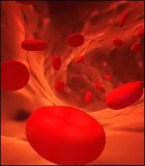 Retrouvez le groupe sanguin qui n'existe pas :