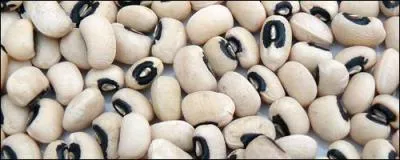 Le groupe amricain de hip-hop Black Eyed Peas tire son nom des  black-eyed peas ,  pois aux yeux noirs , une varit de haricots. Quel est le nom de cette plante en franais ?