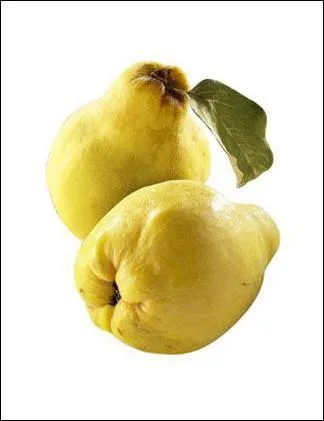 Je suis piriforme, et utilis pour la confiture, les tajines, les ptes de fruits ou les geles, je suis :