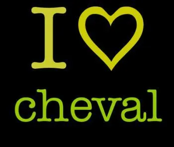 Combien robes existe-t-il ?