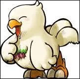 Ce chocobo fait partie des cohcobos de la ferme de Shirma. Il se dmarque des autres par son incroyable apptit mais on peut toujours compt sur lui... Du moins, quand il a le ventre plein.