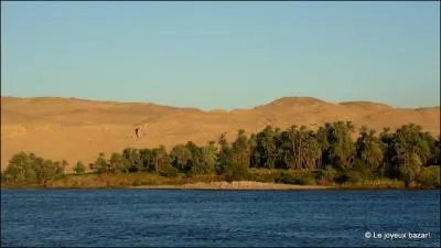 En -47 (av. J. -C. ), o Jules Csar, quittant Alexandrie, part-il pour combattre le roi du Pont, Pharnace II ?