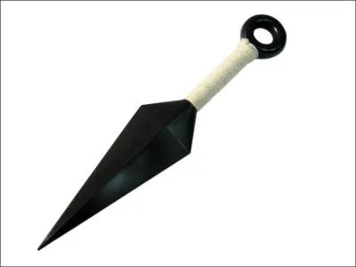 Quelle est cette arme ?