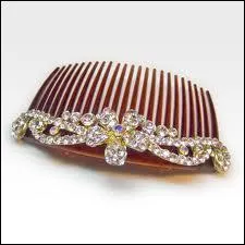 Quelle brosse n'existe pas ?