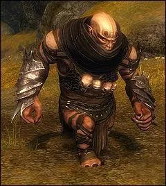 Quelle est cette crature ?