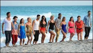 Qui sont  les plastocs  ?