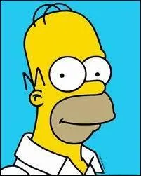 Quelle est la phrase culte d'Homer ?