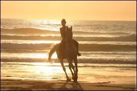 Le cheval est-il comme nous ? A-t-il un ct o il se sent mieux ?