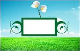 Quelle mission propose par M6, qui consiste  faire trouver l'amour  des agriculteurs, possde ce logo ?