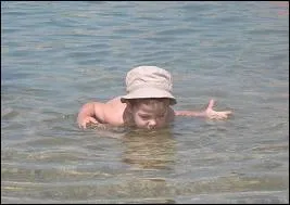 Au cours de ce quiz, pour vous encourager, je dclare :  Ce n'est pas la mer  boire . Que signifie cette expression ?