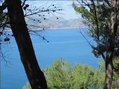 La mer Adriatique spare la pninsule italienne de la pninsule balkanique. De quelle autre mer fait-elle partie ?