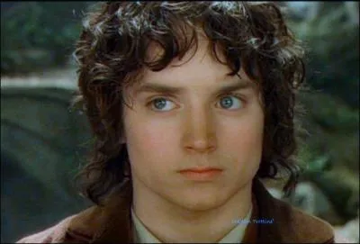 Où les Hobbits ont-ils habité avant de s'installer en Comté ?