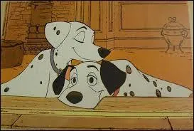 Quels sont ces chiens ?