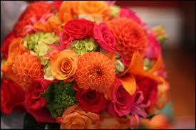 Pour l'anniversaire d'Hestia, elle mritait bien un joli bouquet de fleurs ! Voici donc ces quelques roses au milieu des ...