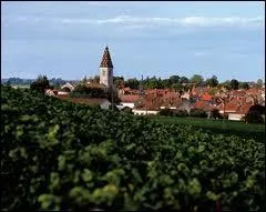 Nous allons  Nuits-Saint-Georges ( Cte-d'Or ), commune qui est chef-lieu ...