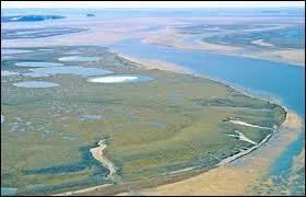Le delta de la Lna, fleuve russe, abrite une des plus grandes rserves naturelles du monde. Dans quel ocan se jette la Lna ? Dans l'ocan...