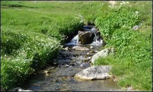 Le Rhin est un long fleuve d'Europe qui se jette en mer du Nord aux Pays-Bas. Dans quel pays se trouvent ses sources principale et secondaire ?