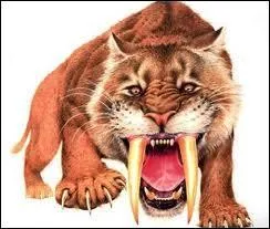 Quel est cet animal ?