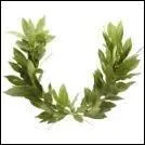 A quel personnage cette plante vous fait-elle penser ?