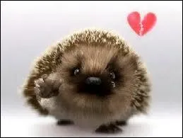 Dans quelle pub y a-t-il un hrisson ?