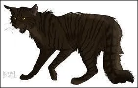 Comment s'appelle les chefs du Clan de l'Ombre ?