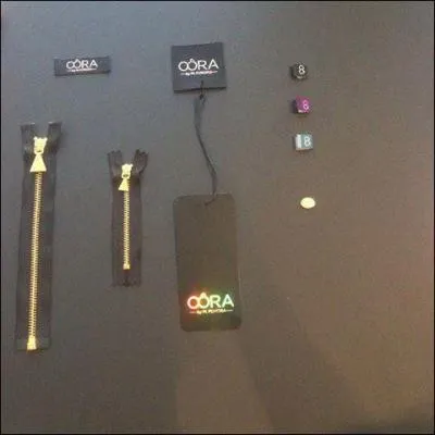 Dans quels magasins vont-ils sortir sa ligne de vtements fminins  Ora  ?