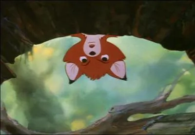 A la fin du film Rox se bat contre quel animal ?