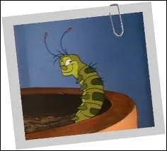 Que chasse Dinky et Piqueur ?