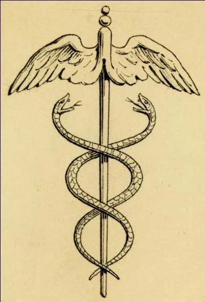 Comment s'appellent les deux serpents d'Herms ?