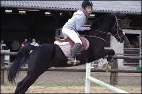 En sautant de petit obstacles, il faut ...