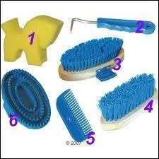 A quoi servent les instruments de pansage ?