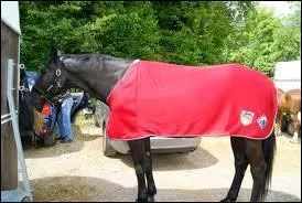 Que sais-tu sur les couvertures ?